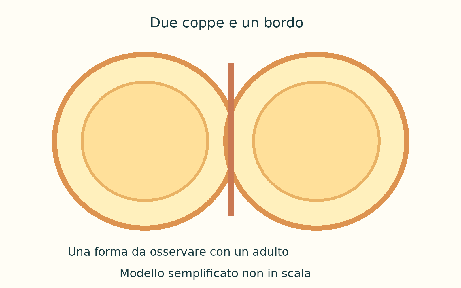 Illustrazione o schema del libro: 02  La pala fatta come due cucchiai